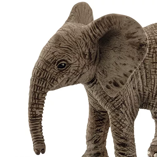 Schleich Wild Life Afrikaans Olifantenjong - 7 Cm 2 Schleich Wild Life Afrikaans Olifantenjong - 7 Cm - Afbeelding 2